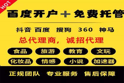 案例分析：SEM竞价代运营策略优化